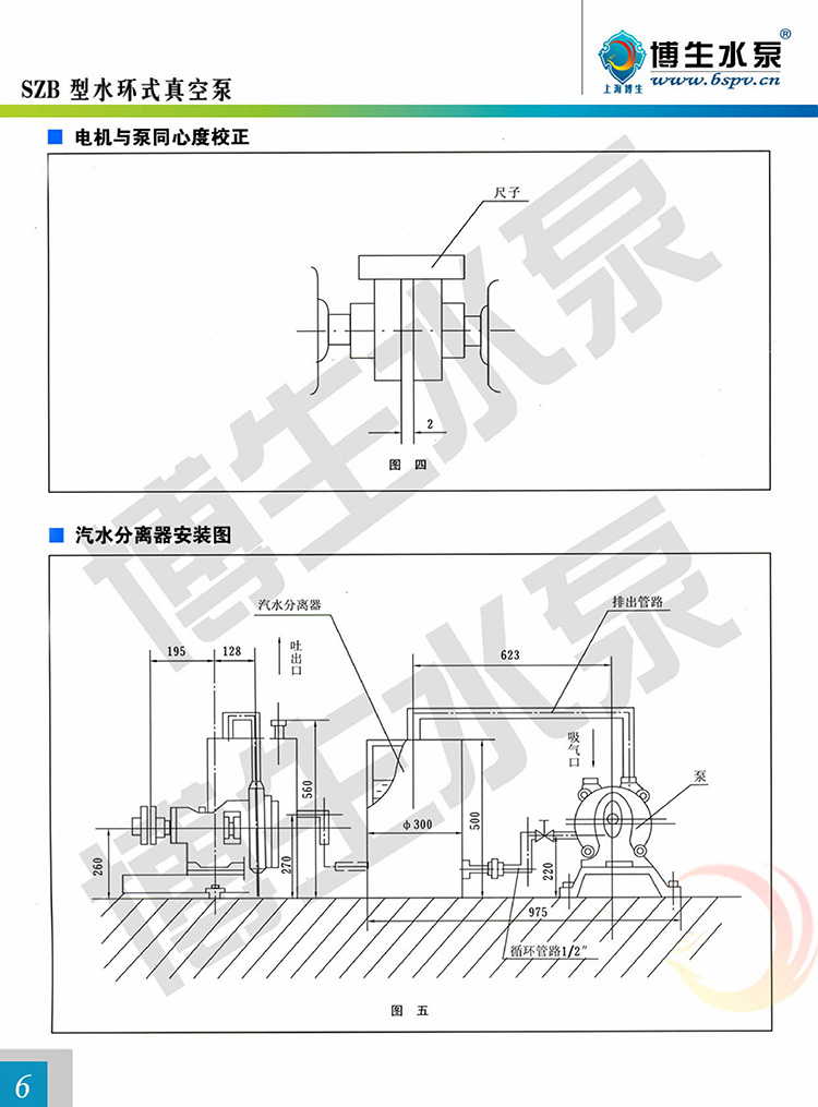 BS-006.jpg